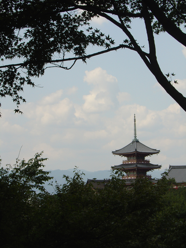 DSC01551