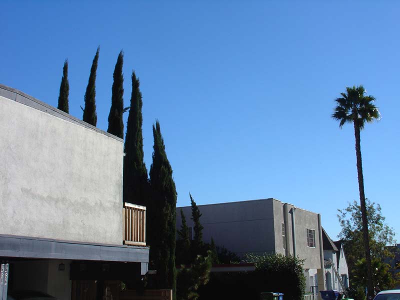 DSC04271