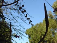 DSC04269