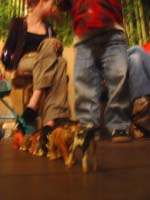 DSC04476