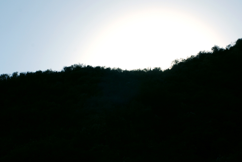 DSC_1065