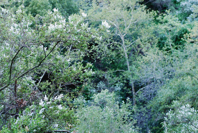 DSC_1071