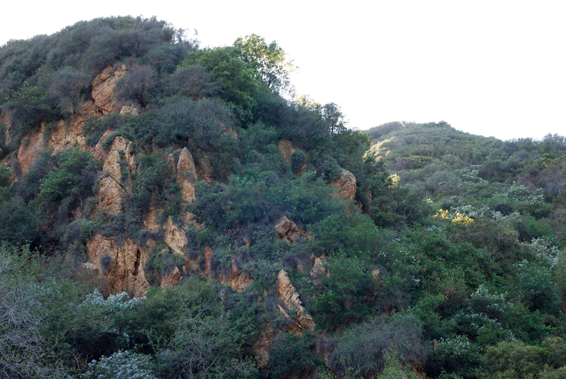 DSC_1081