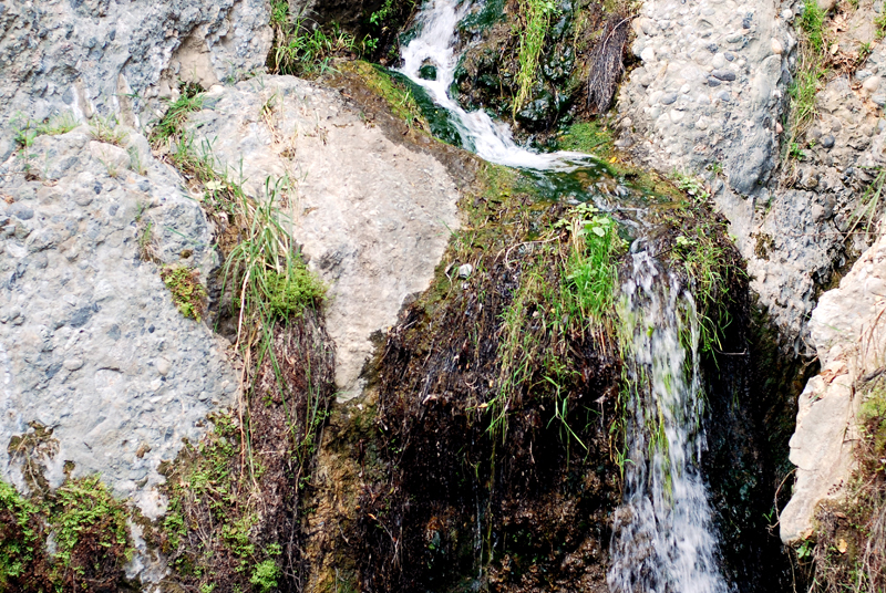 DSC_1083