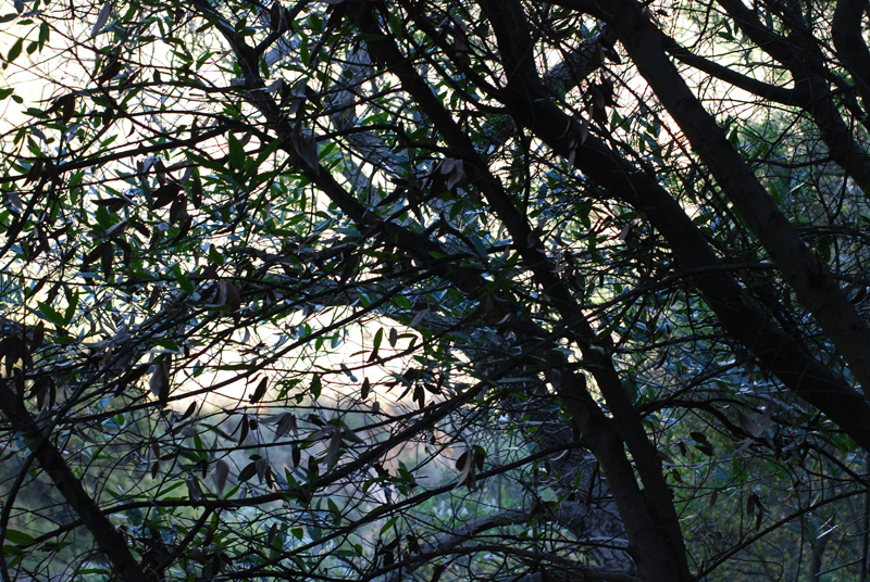 DSC_1085