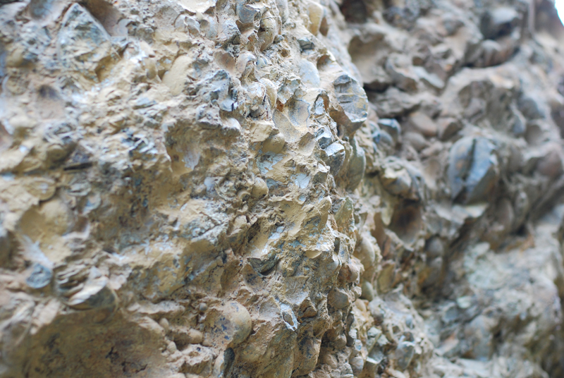 DSC_1095