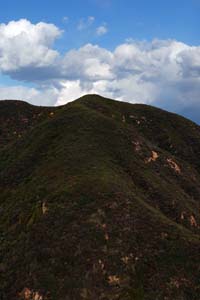 DSC_1167