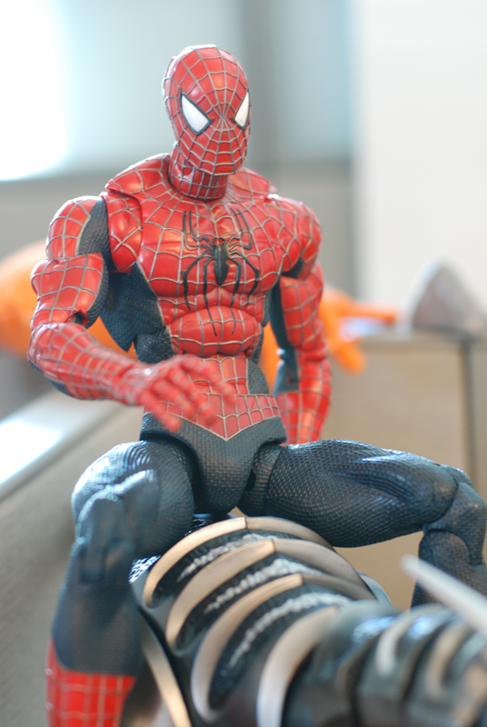 DSC_0041