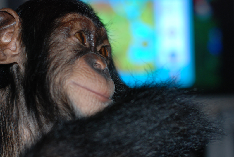 DSC_0304
